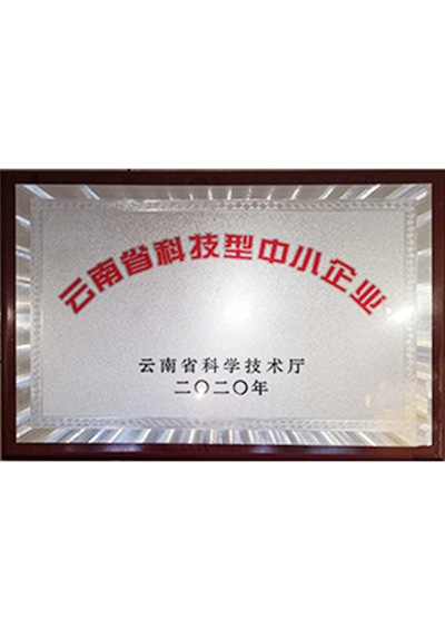 云南省科技型中小型企业