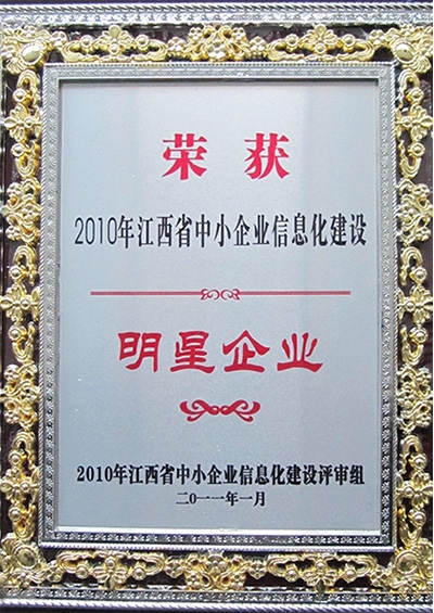 明星企业奖